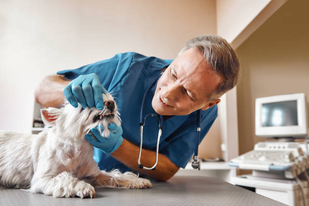 Best Emergency Dental Care for Trauma or Injury in Port Lavaca, TX